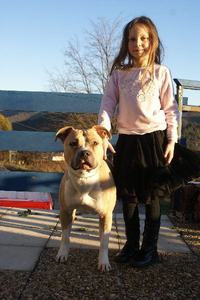 Elios des Gardiens de la Rose bleue