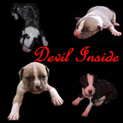 Star Devil Inside